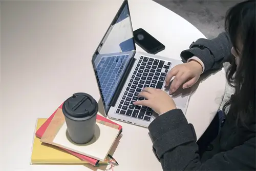 美食领域哪里有粉丝