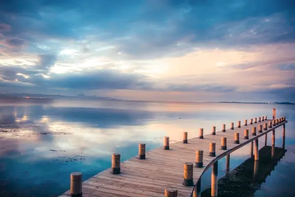 炒拨拉是哪里美食